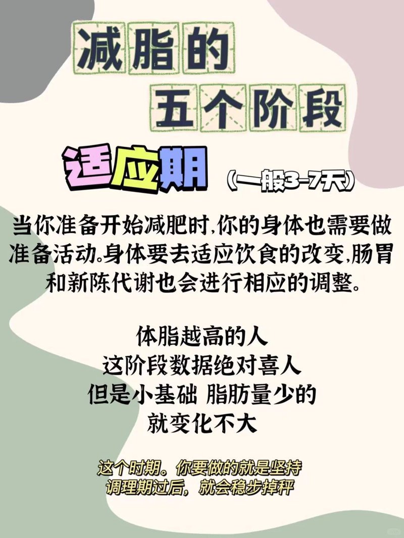 塑身减肥产品：哪款才是你的最佳选择？
