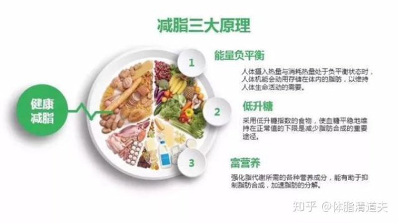 科学减脂